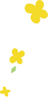꽃잎